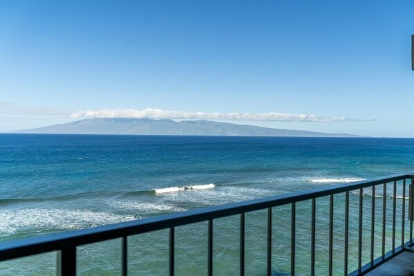 Property grounds - Direct oceanfront Studio in Kaanapali, Maui (Lahaina)