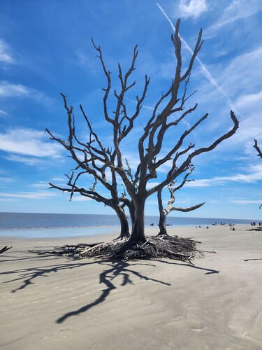 Turtle Tracks B - Pet Friendly Jekyll Island Retreat! 5 minute walk to Beach!