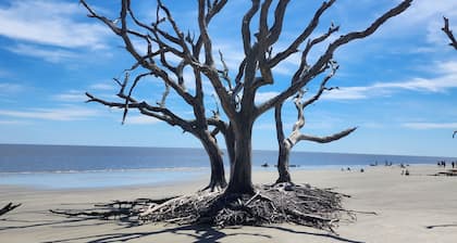Turtle Tracks B - Pet Friendly Jekyll Island Retreat! 5 minute walk to Beach!