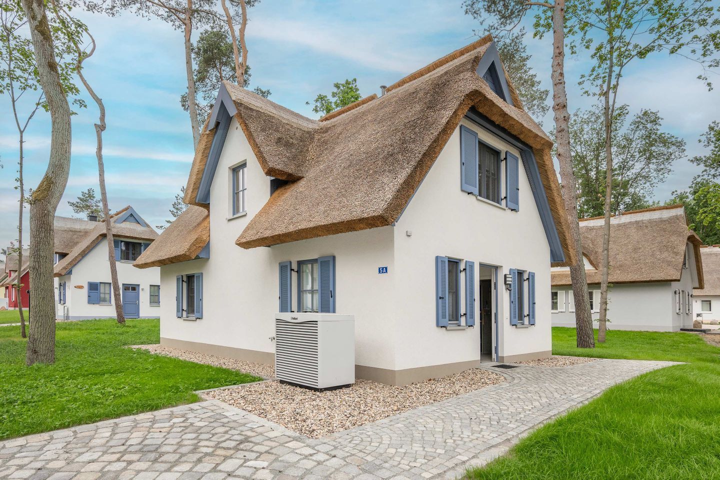 A modern house with a thatched roof, a central air conditioning unit, and a paved driveway.