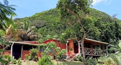 Cottage Eco Responsable en Bois au Décor Atypique au Coeur de la Nature