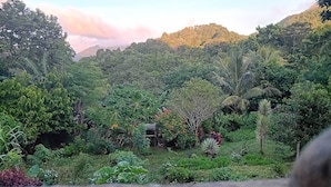 Üppige, grüne Landschaft mit dichter Vegetation und einem Berg im Hintergrund.