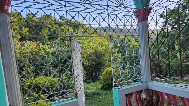 Un espacio al aire libre cubierto con una valla metálica y plantas en macetas.
