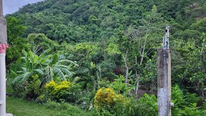 Un paisaje verde exuberante con una colina al fondo, un sendero de concreto y una estructura de madera con un poste.
