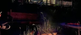 Creekside Cabin- nature just footsteps away!