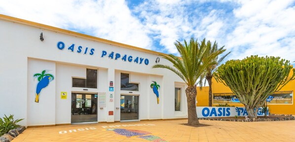 Un bâtiment portant l’enseigne « OASIS PAPAGAYO » et décoré de palmiers.