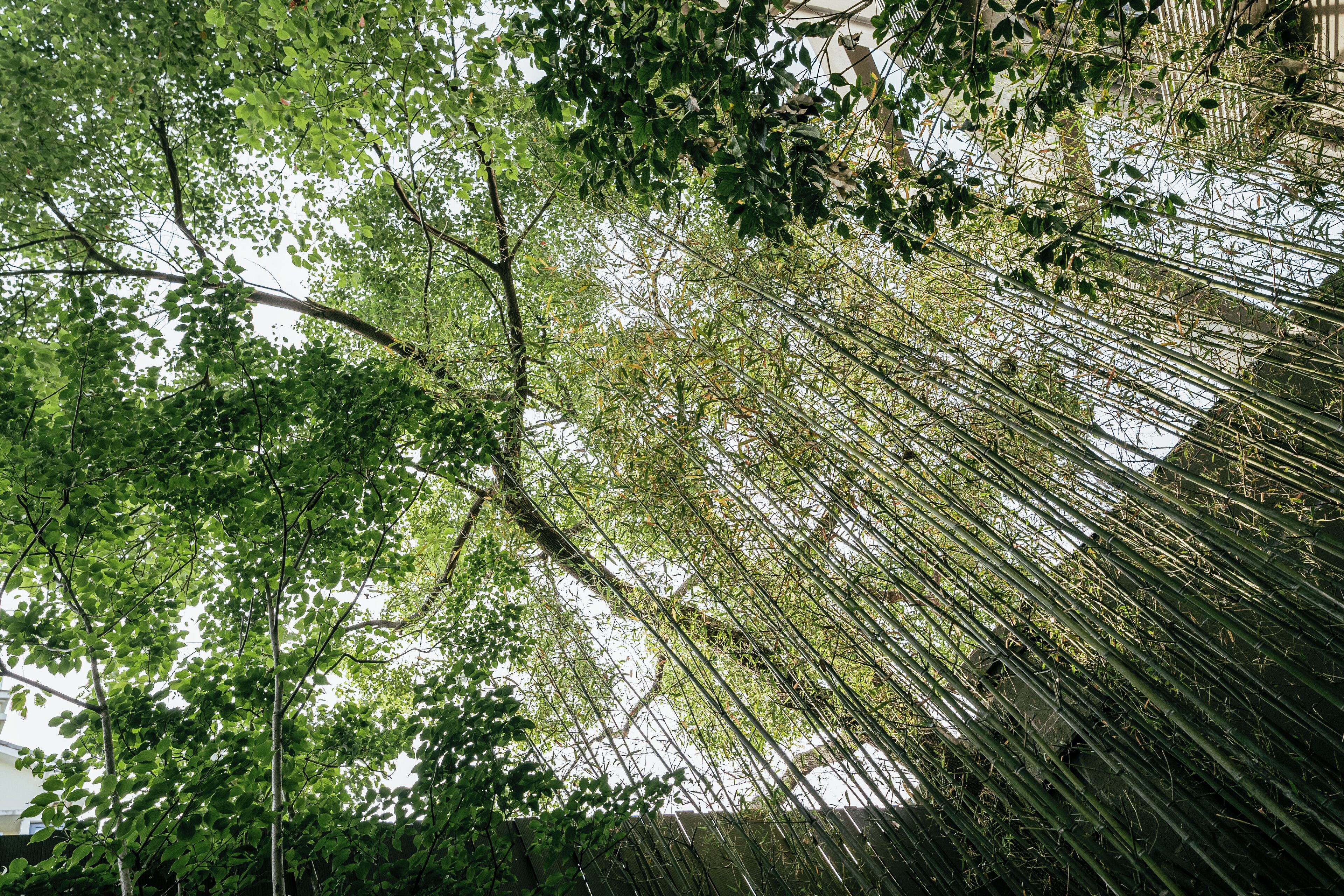 Foto - The Yard Boutique Hotel Shanghai 一隅酒店上海虹桥漕河泾店