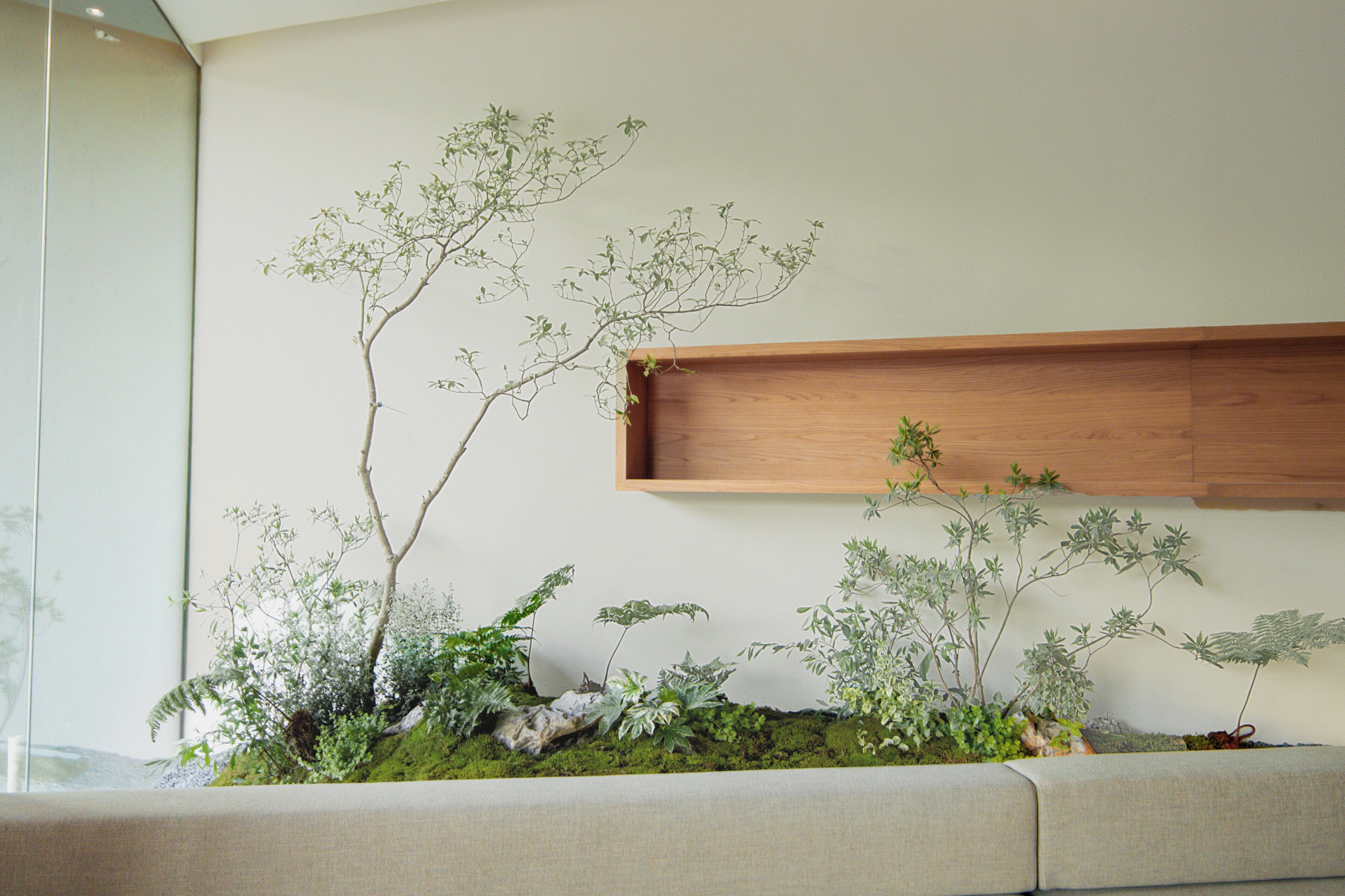Un jardín interior minimalista con diversas plantas y una repisa de madera.
