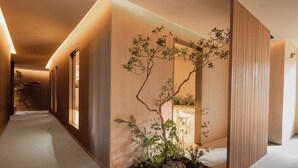 A hallway with a wooden wall and a small indoor plant arrangement.