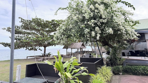 A seaside patio with wicker furniture, a white flowering tree, and a view of the ocean.