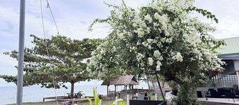 Seaview Beach Resort