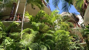 Un jardin luxuriant, avec des palmiers, et un bâtiment doté de balcons.