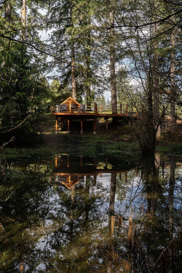 A cabin with a deck overlooking a pond, surrounded by dense forest.