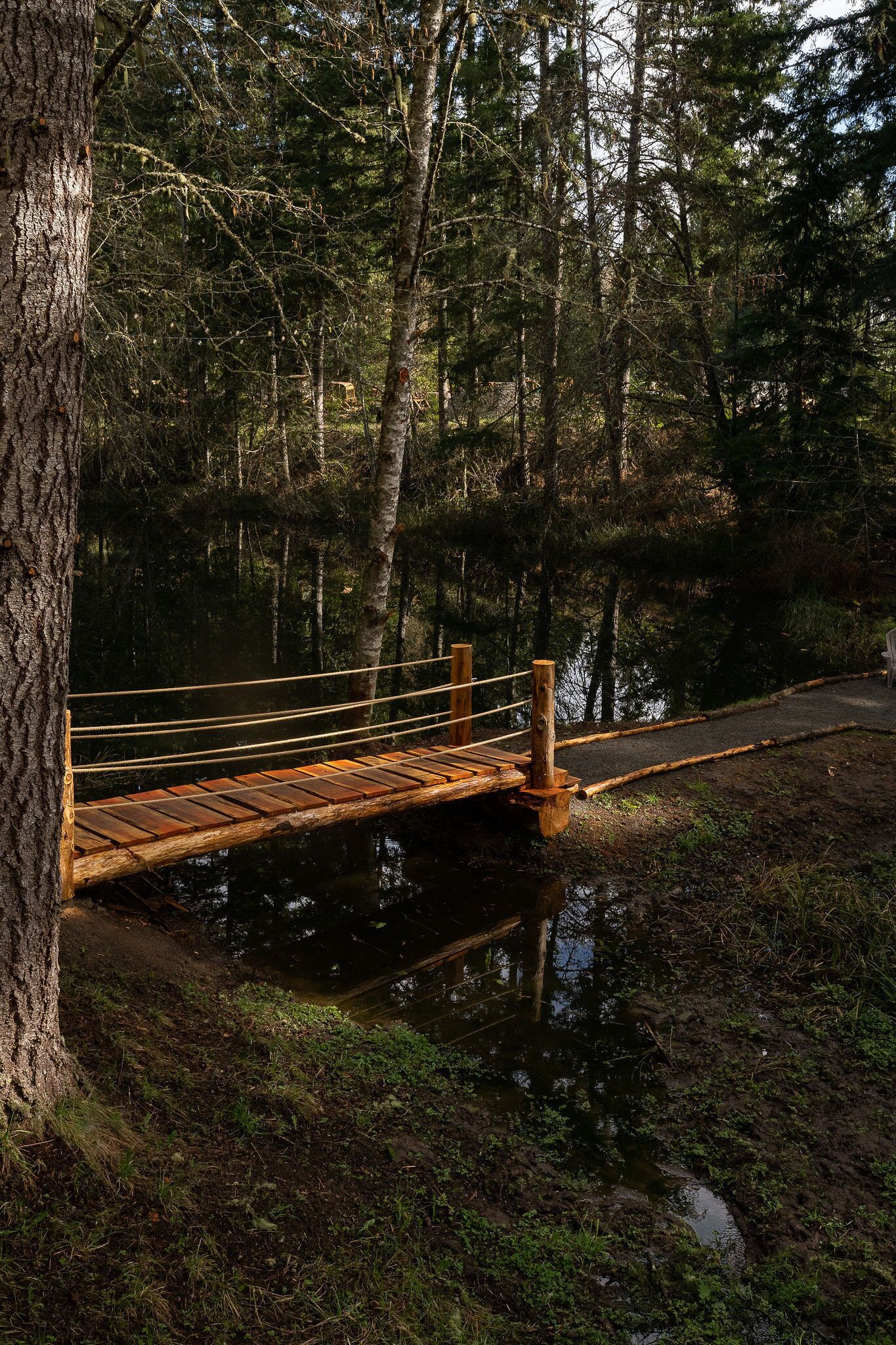 Eine Holzbrücke über ruhigem Gewässer, umgeben von Bäumen und einem Feldweg.