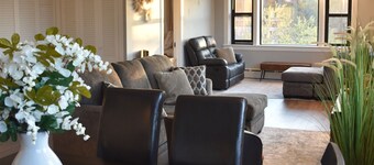 Newly Renovated family-sized apartment downtown, lots of light! 