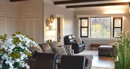 Newly Renovated family-sized apartment downtown, lots of light!