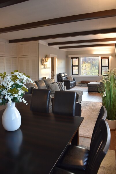 Newly Renovated family-sized apartment downtown, lots of light! 