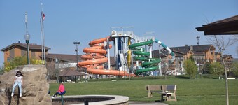 Newly Renovated family-sized apartment downtown, lots of light! 