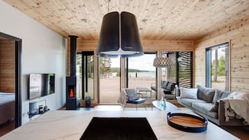TV, fireplace, stereo