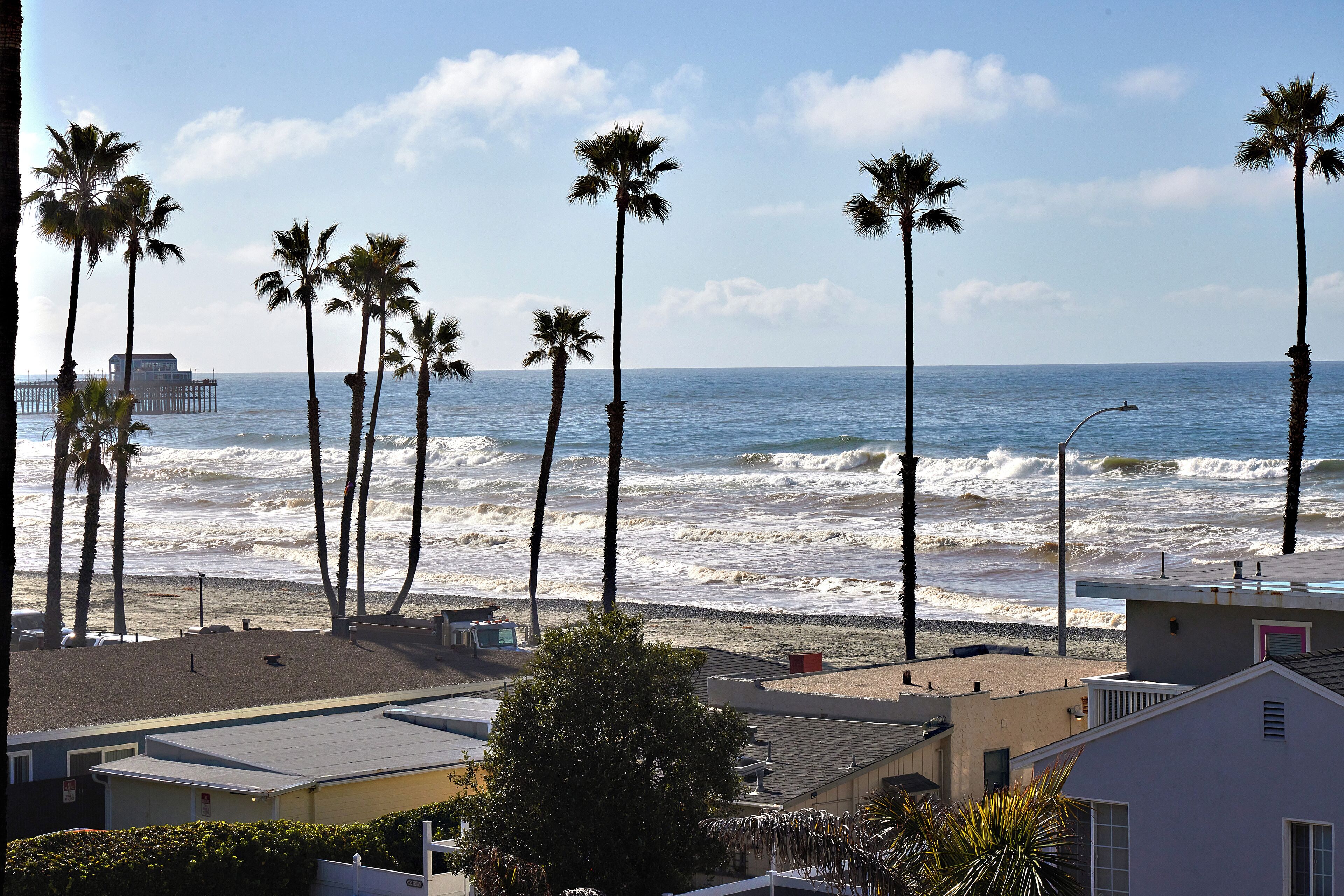 A beach with palm trees, a pier, and a view of the ocean.