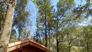 Una cabaña de madera con terraza de madera y un pequeño rincón para sentarse al aire libre.