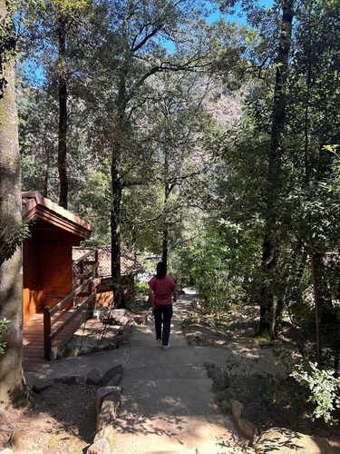 Chalet de Location au Cœur de la Forêt. Randonnées Entre Rivière et Montagne