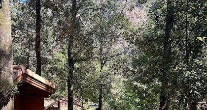 Chalet de Location au Cœur de la Forêt. Randonnées Entre Rivière et Montagne