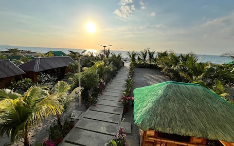 Jardín. Mula De La Paz