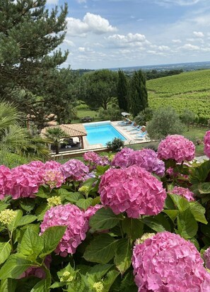 Alberca