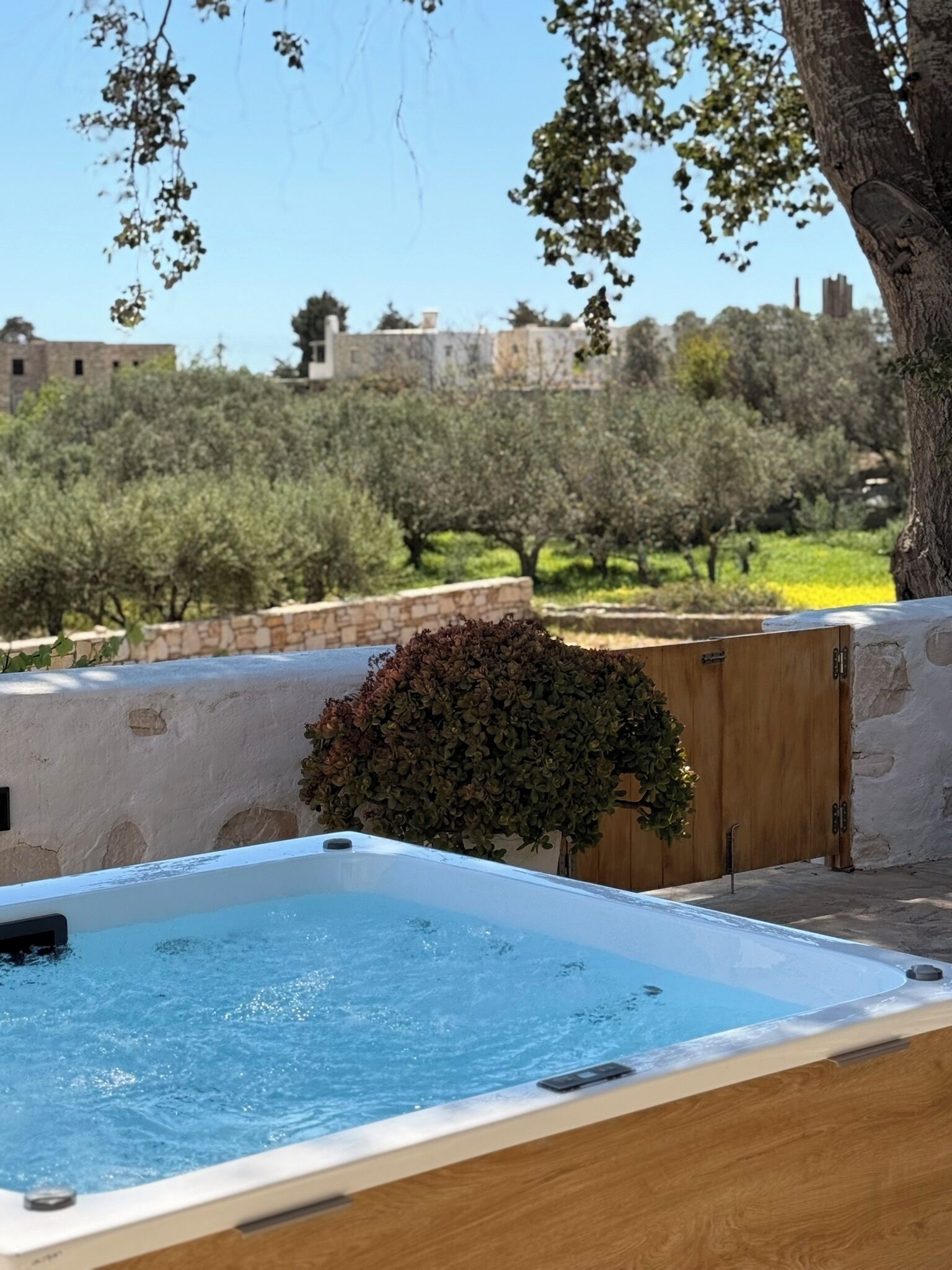 A hot tub with a wooden deck, surrounded by olive trees and a stone wall.