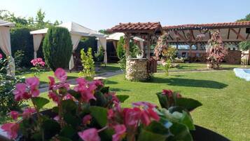 Khuôn viên nơi lưu trú