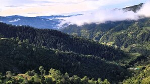 A mountainous landscape with dense forests and a clear sky. - The Getaway BNB (Shimla)