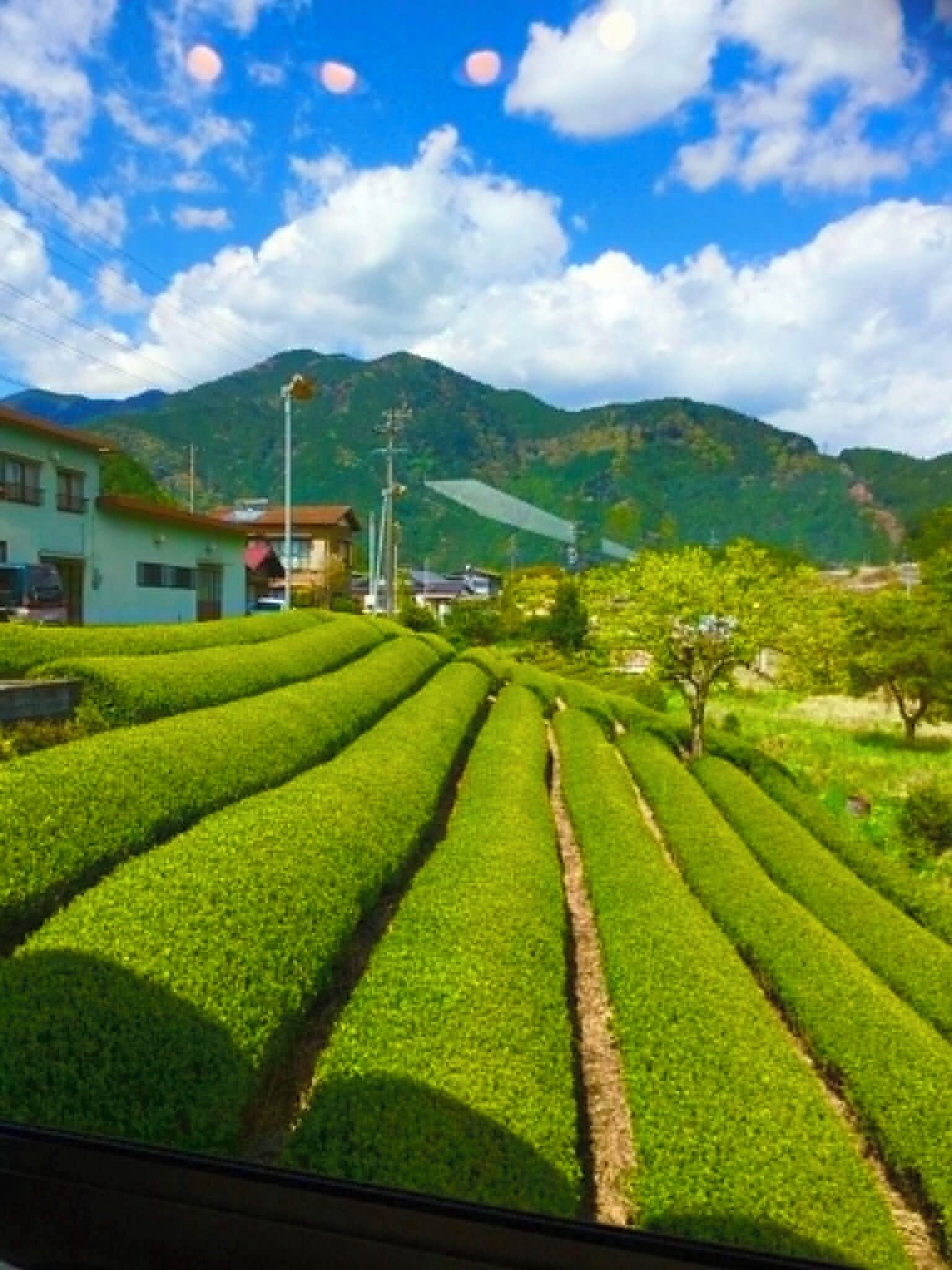 숙박 시설의 전망