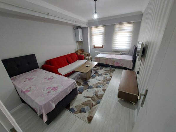Classic Apartment | 1 bedroom, free WiFi