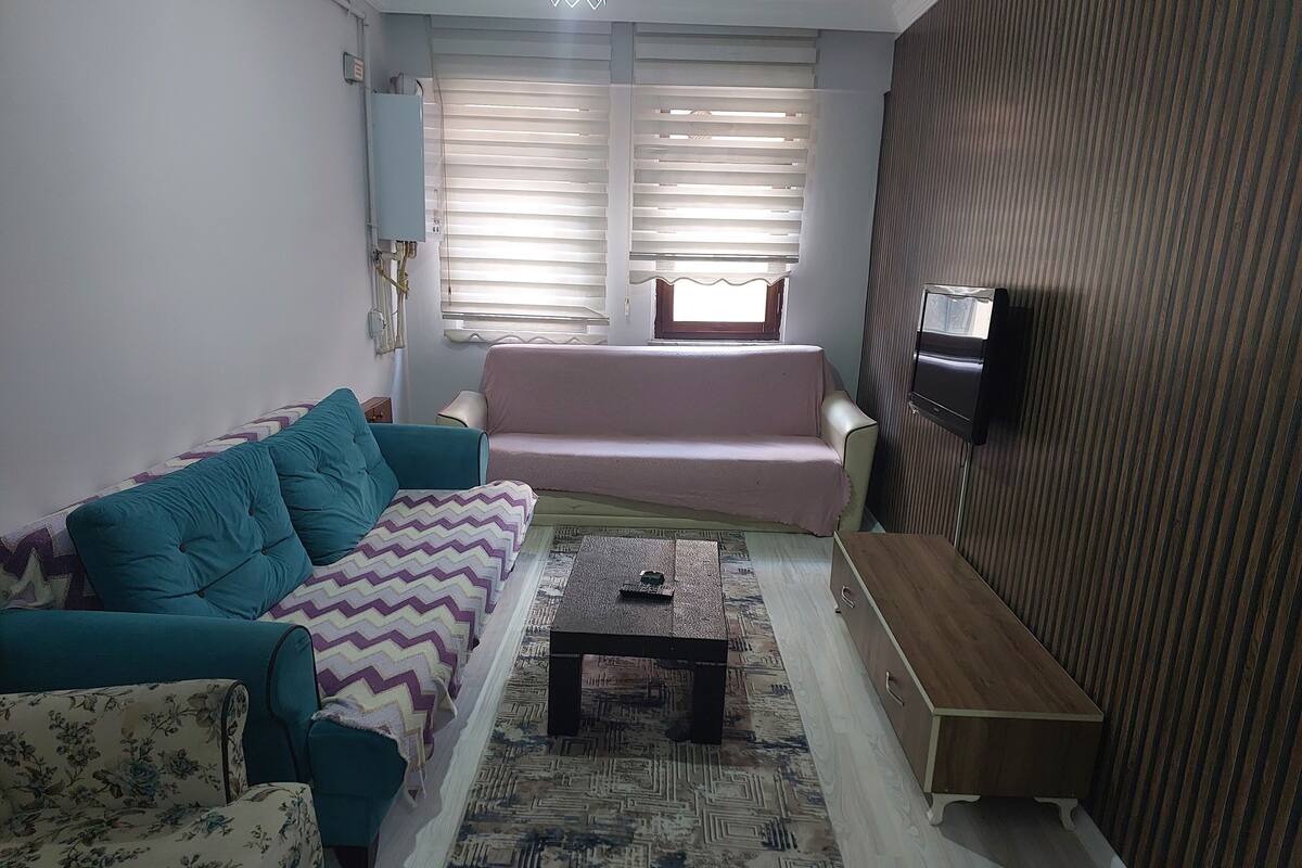 Una sala de estar con un sofá color turquesa, un sofá rosa, un tapete estampado, una mesa de centro de madera y un televisor en la pared.