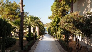 A pathway flanked by trees and shrubs, leading to a building with a clear sky above. - Ruins Luxury Resort (Bodrum)