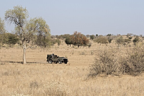 A vehicle in a dry, open landscape with sparse trees and bushes.