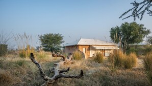 Un bâtiment rustique à l’architecture traditionnelle, entouré d’herbes sèches et d’un arbre imposant.