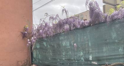 Le 002 de l'avenue, appartement tout confort