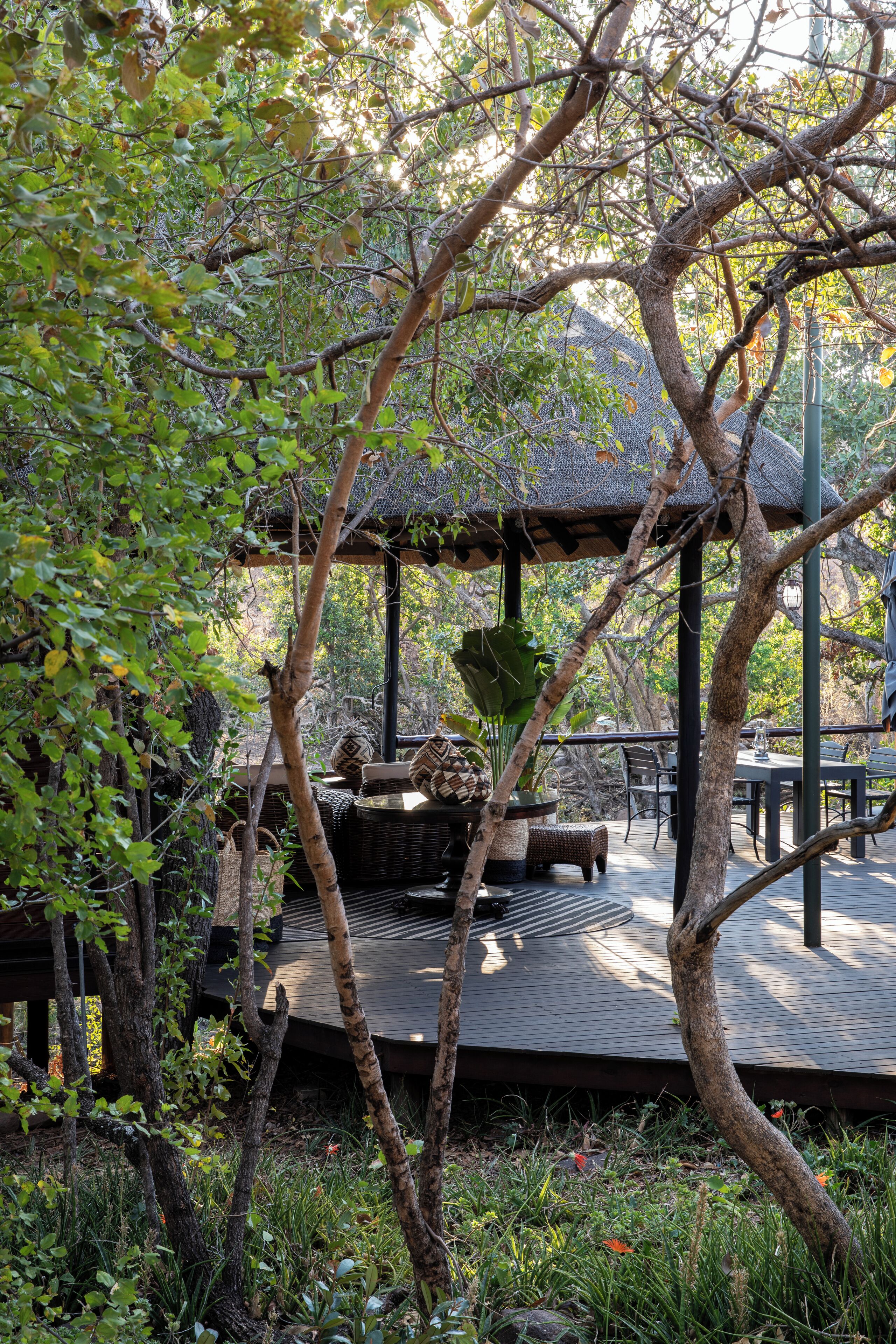 Un espace extérieur abrité, aménagé avec une table et des chaises, et entouré d’arbres et de verdure.