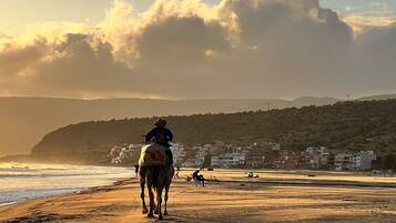 Cena de praia com uma pessoa cavalgando um camelo, um caminho de areia e edifícios ao fundo.