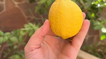 Une main tenant un citron.