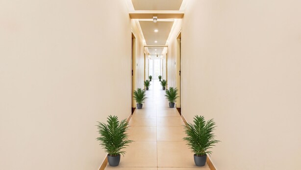 Lobby - Collection O Yashas Serviced Apartment (Mysore)