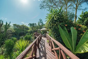Exterior - Buffalo's Rest  (Naivasha)