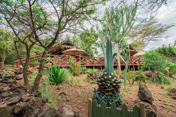 Exterior - Buffalo's Rest  (Naivasha)