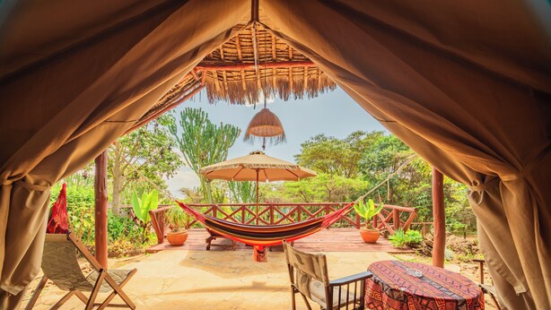 A hammock under a thatched roof, surrounded by potted plants and a wooden deck. - Buffalo's Rest  (Naivasha)