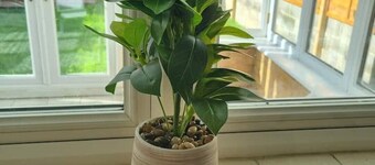 Charming 3Bed Whole House in Strood Rochester Kent