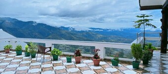 Green Palms Rubystone Exotic