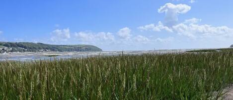 A coastal landscape with a sandy foreground, a body of water, and a distant hill.