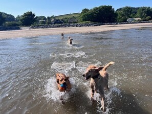 Beach - Llansteffan - Dog Friendly 2-bed House, Sleeps 4 (Carmarthen)